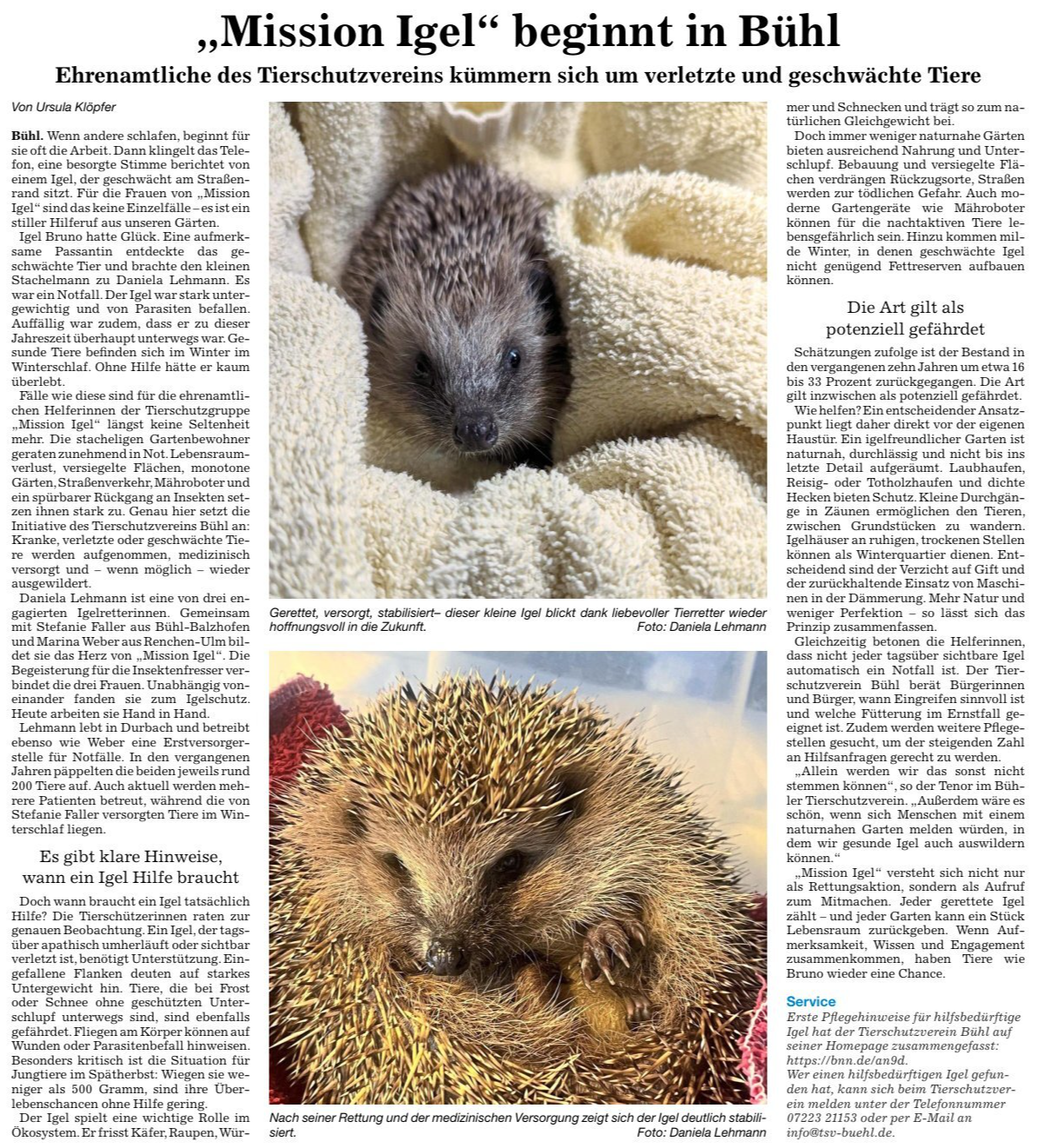 'Mission Igel' beginnt in Bühl