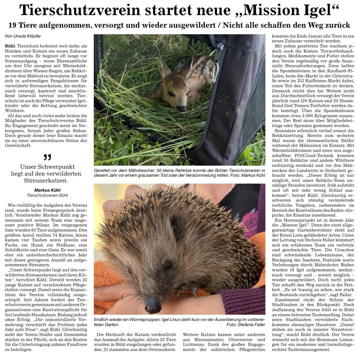 Zeitungsartikel der BNN: Tierschutzverein startet neue &bdquo;Mission Igel&ldquo;