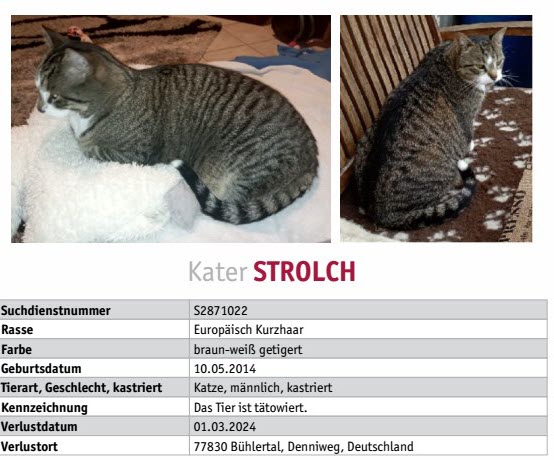 TASSO Suchmeldung S2871022