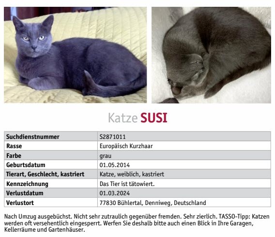 TASSO Suchmeldung S2871011